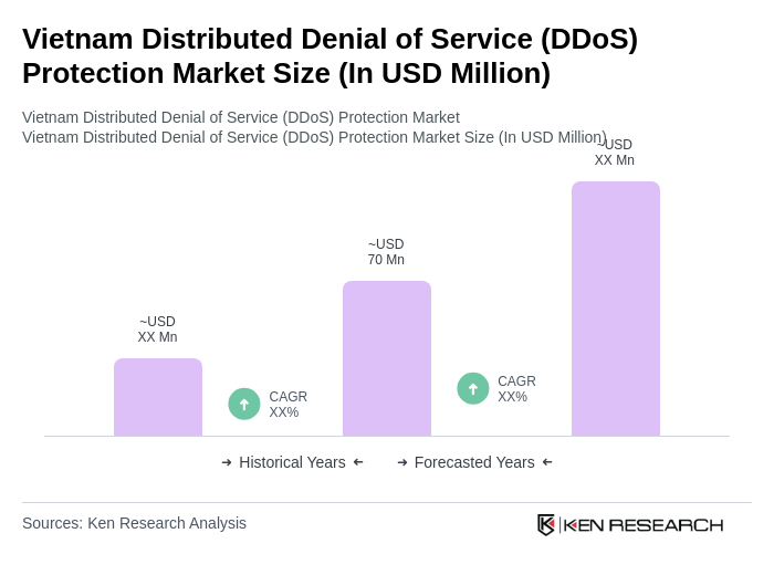 Vietnam Distributed Denial of Service (DDoS) Protection Market Size